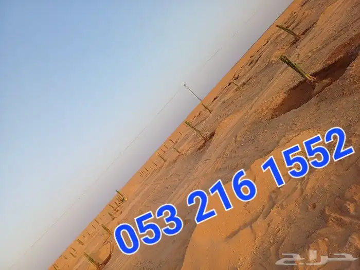 يوجد لدينا فسايل نخيل خلاص حساء ونقوم بقشع وغرس الفسايل 2