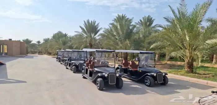 تأجير وبيع وصيانه عربات قولف كار golf car 9