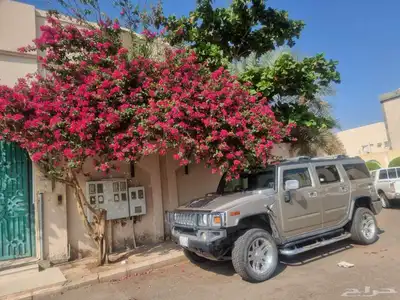 همر نظيف جدا استخدام بسيط 0