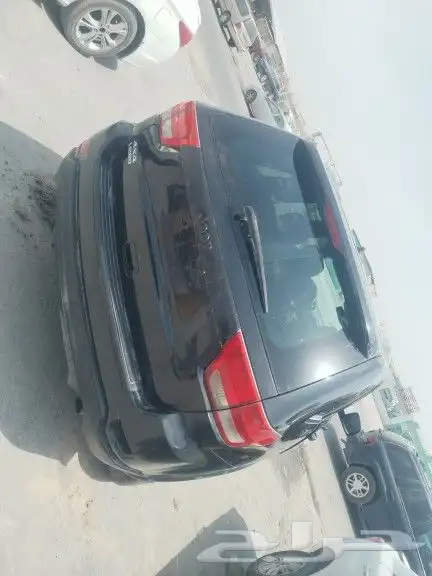 شروكي 2013 2