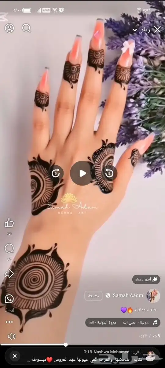 نقاشة حنة 3