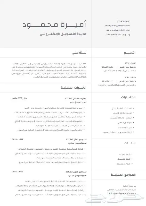 تصميم سيرة ذاتية ATS بكل احترافيه 7
