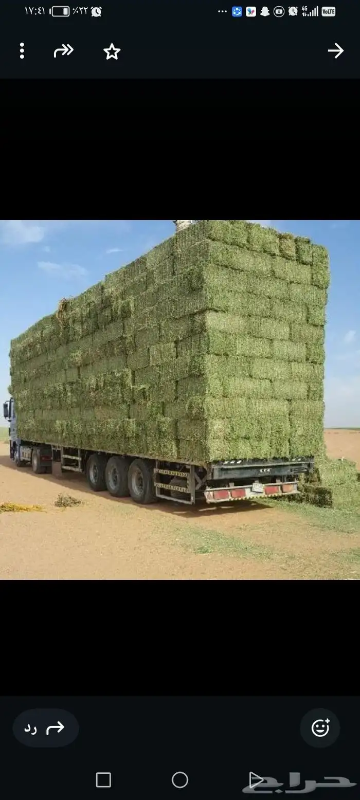 سوق البرسيم والاعلاف والروتس والتبن والذره 1