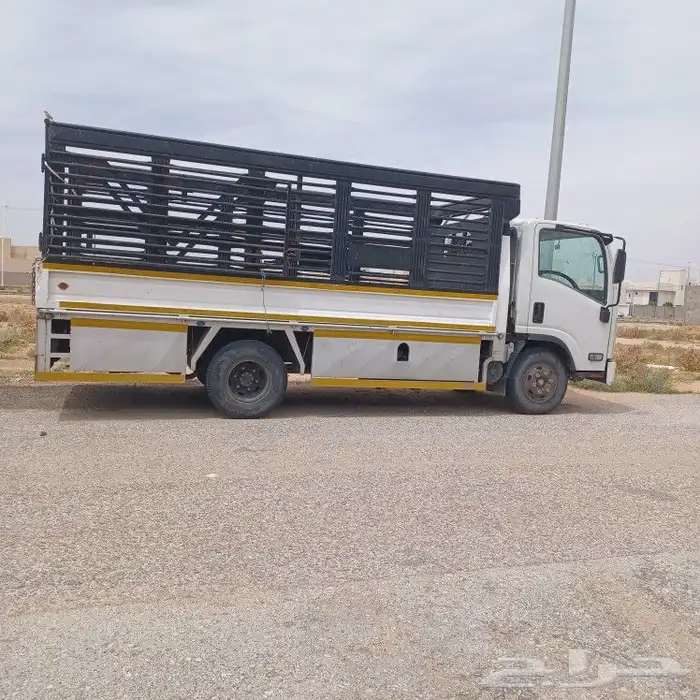 دينا نقل الأثاث دينا لنقل العفش 0