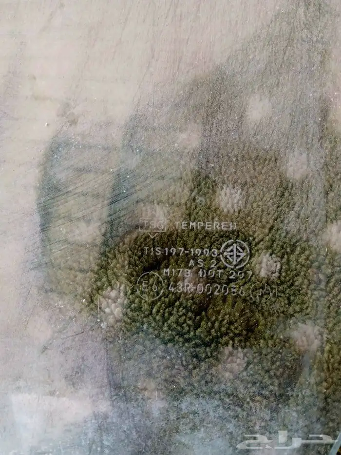 إيسوزو 1