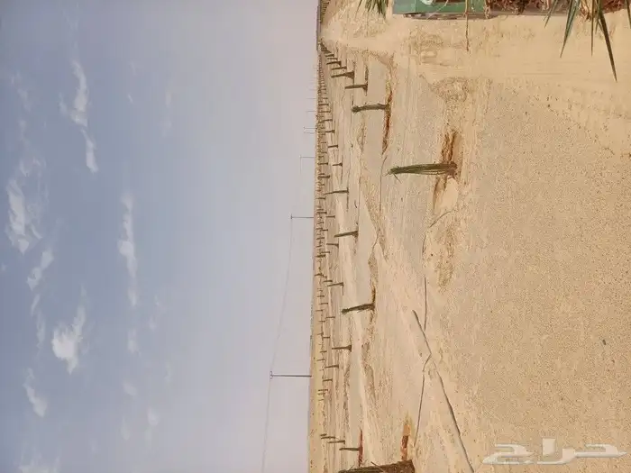 يوجد لدينا فسايل نخيل خلاص حساء ونقوم بقشع وغرس الفسايل 1