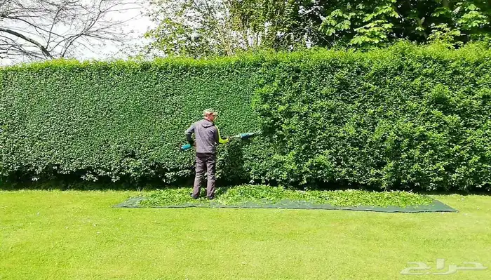 معلم قص اشجار وتزيين الحديقه وتلقيح نخل وتكريب النخيل 7