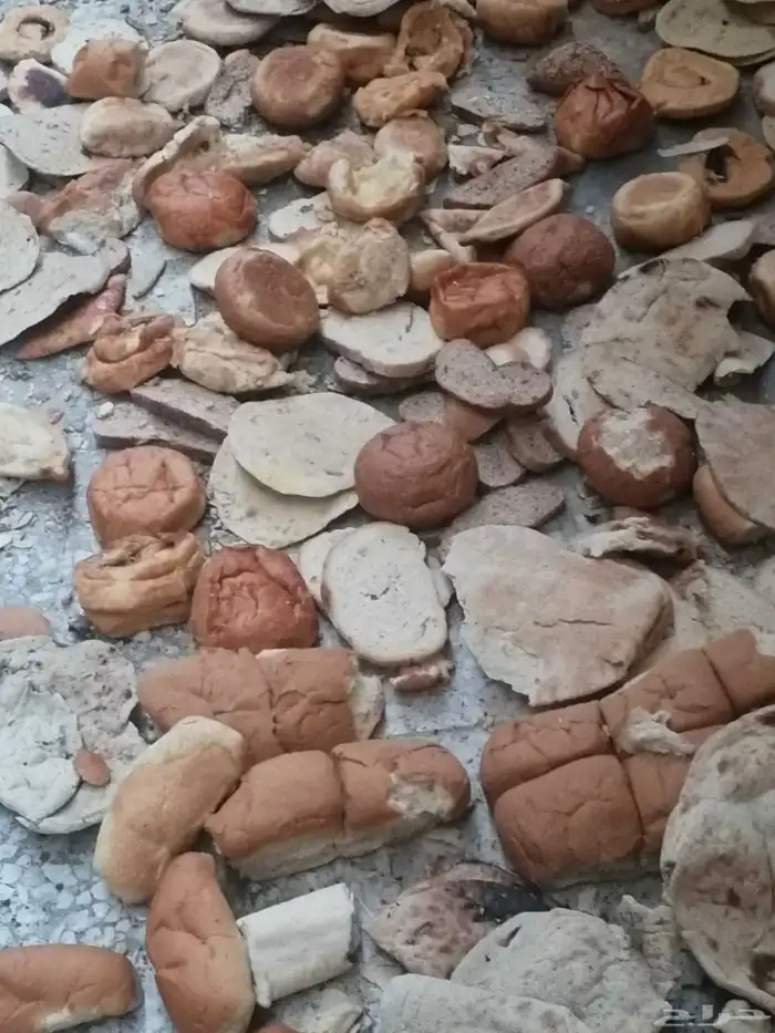 خبز ناشف شرط النضافه نضيف تعبيه فل نضيف مضموا ميه وخمسين كيس 4