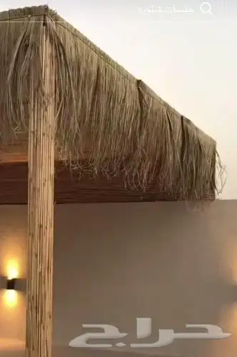 خيزران وقش موسسه حديقه خيزران 1