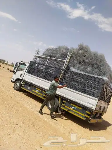 مقاول شبوك 1