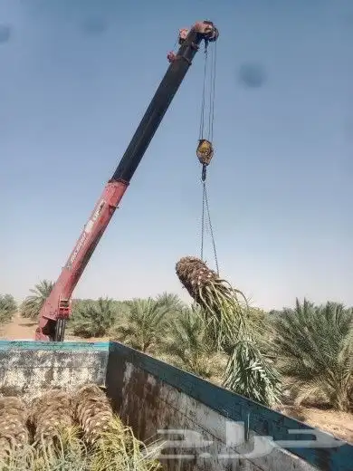 لتوريد انخيل بجميع انواعهاء وشغل الشبوك ت 2