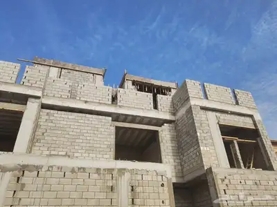 إذا تبغا تبني 12