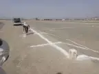 إذا تبغا تبني 19