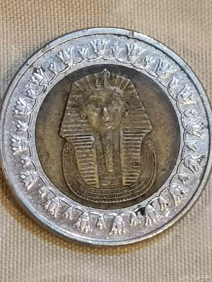 جنيه مصري 1431 1