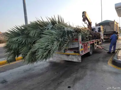 ونش نقل مكه جده بلاط معدات بركسات 2