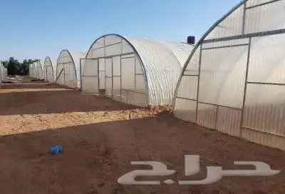 بيوت محمية للإيجار 3