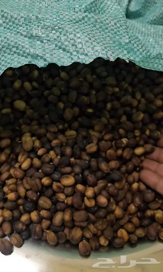 بن قهوة عربية 1