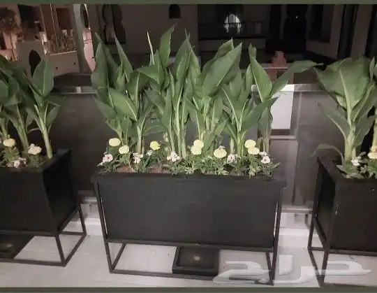 مشتل تنسيق حدائق 5