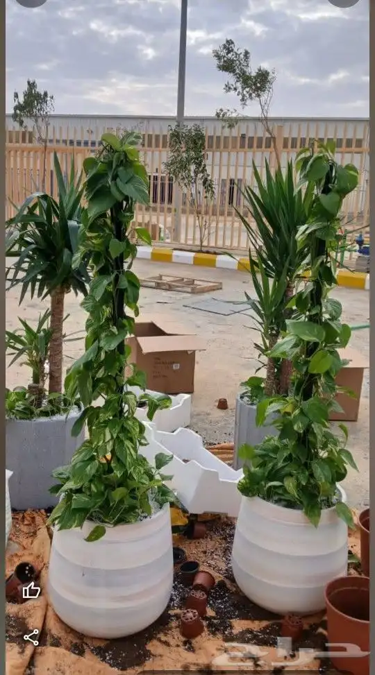 مشتل تنسيق حدائق 4