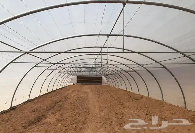 بيوت محمية للإيجار 5