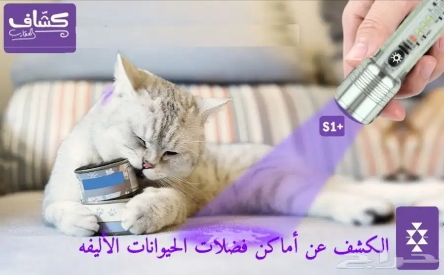أحدث إصدار من كشاف العقارب جمله فقط 4