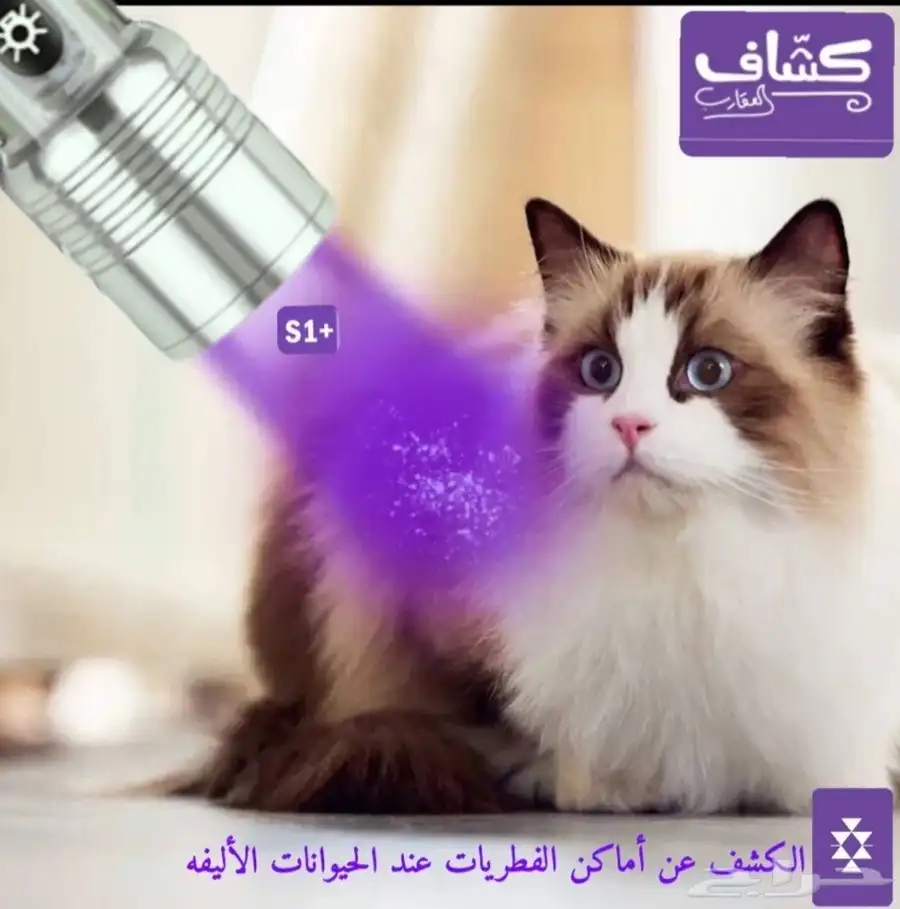 أحدث إصدار من كشاف العقارب جمله فقط 6