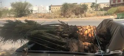 يوجد لدينا جميع انواع انخيل 0