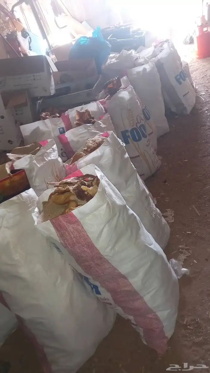 عيش للمواشي للاغنام للبيع لتوصل 1