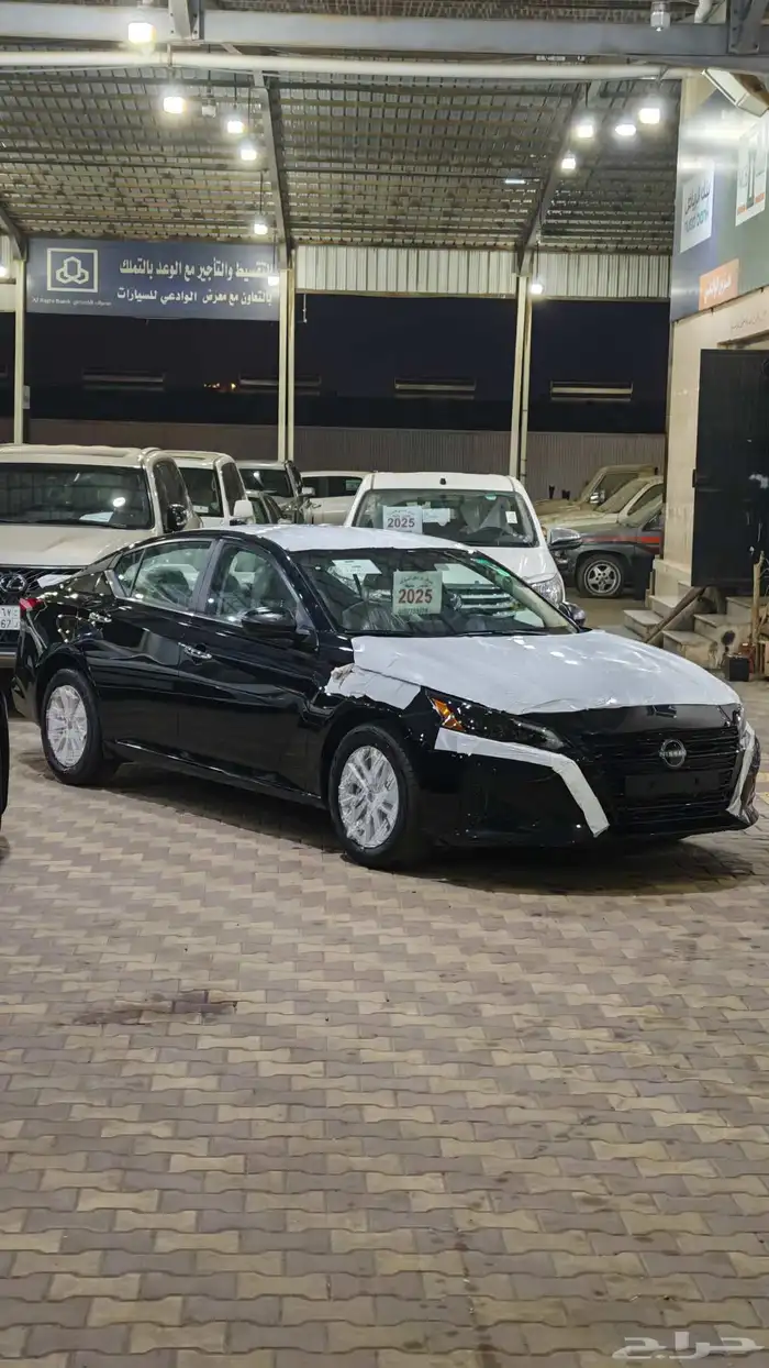 التيما ستاندر موديل2025 0