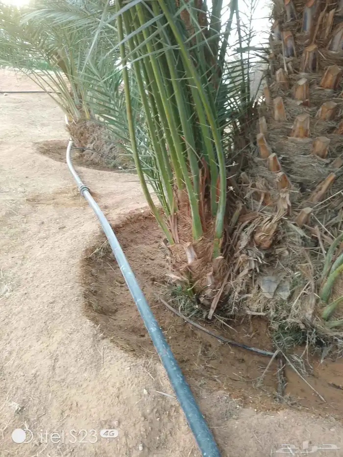 السلام عليكم ورحمه الله وبركاته يوجد لدينا جميع انواع اتخيل 3