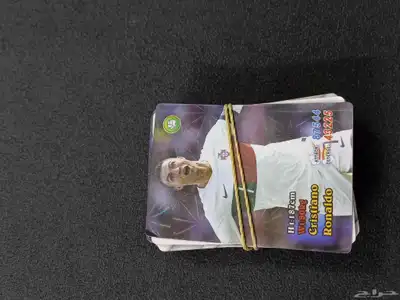 كورت فيفا 2
