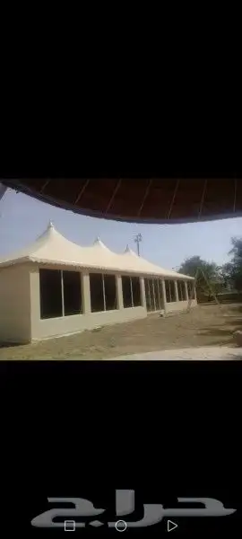 حطين 8