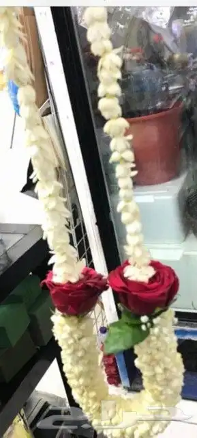 فل طبيعي 3
