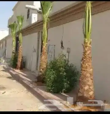 يوجد لدينا جميع انواع انخيل 5