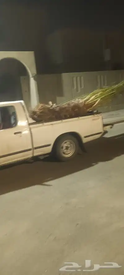 يوجد لدينا جميع انواع انخيل 3