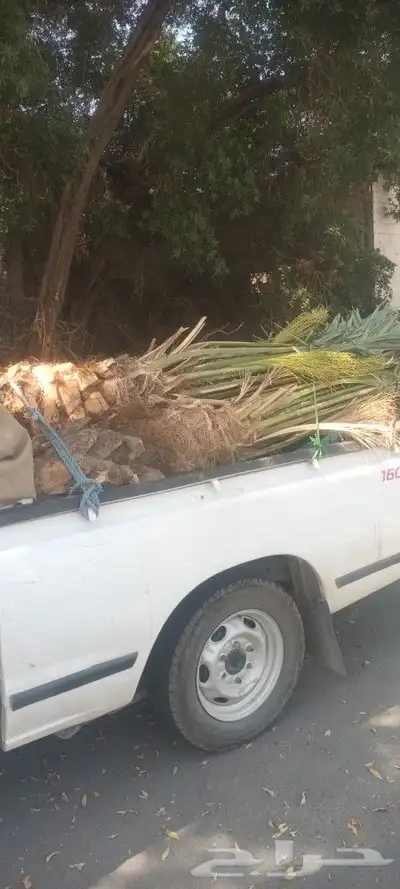 يوجد لدينا جميع انواع انخيل 2