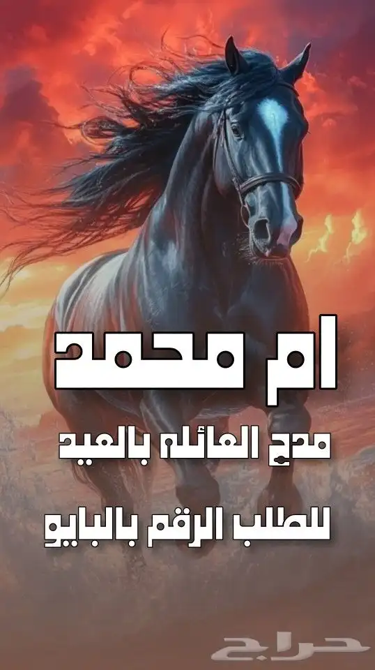 استديو احلام الطرب لتنفيذ الزفات والشيلات بالاسماء 6
