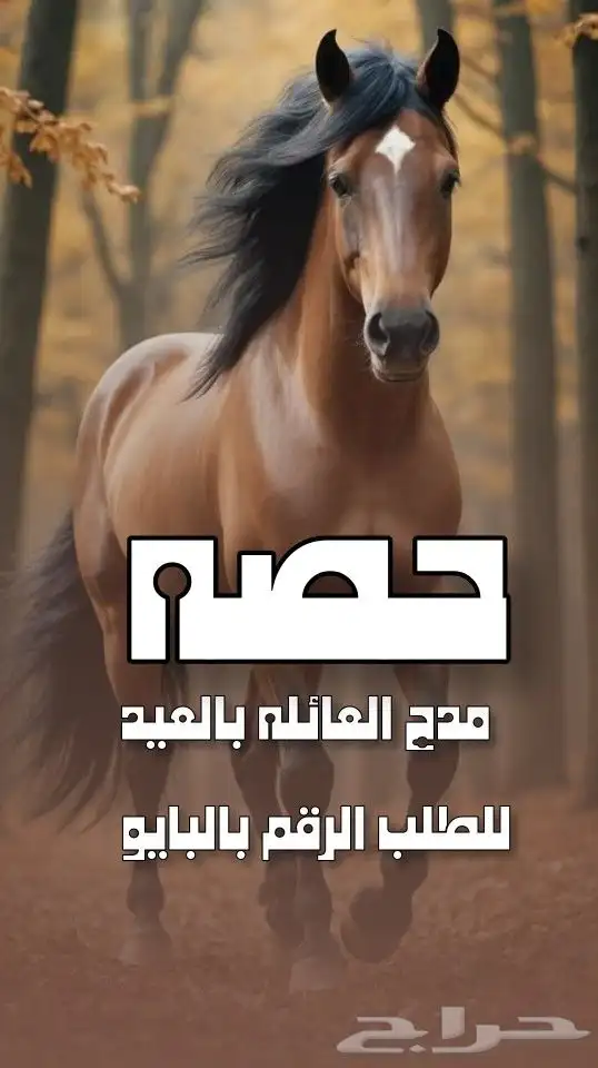 استديو احلام الطرب لتنفيذ الزفات والشيلات بالاسماء 9