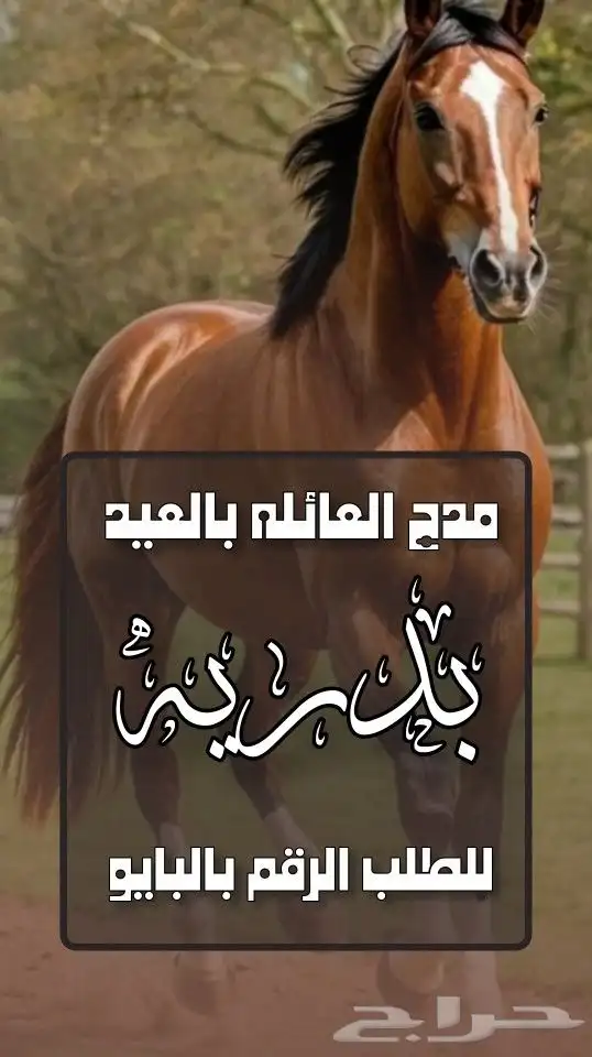 استديو احلام الطرب لتنفيذ الزفات والشيلات بالاسماء 8