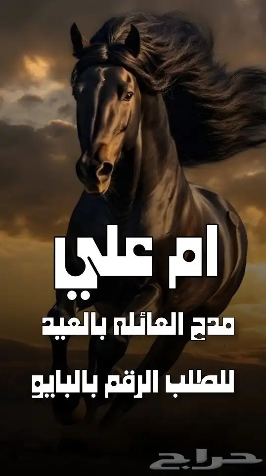 استديو احلام الطرب لتنفيذ الزفات والشيلات بالاسماء 4