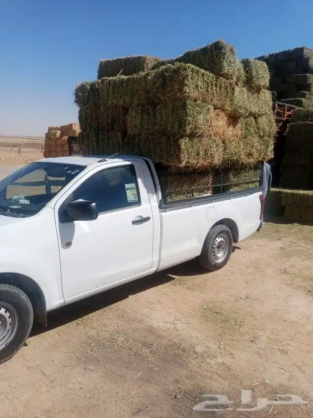 مشاوير نقل اغراض سياره ونيت 0