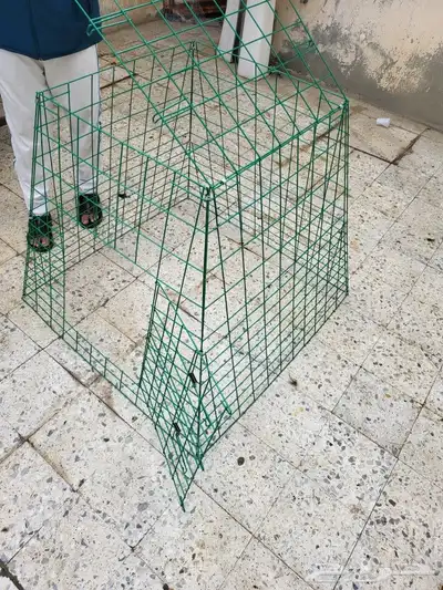 شبوك عرض وتشميس 3