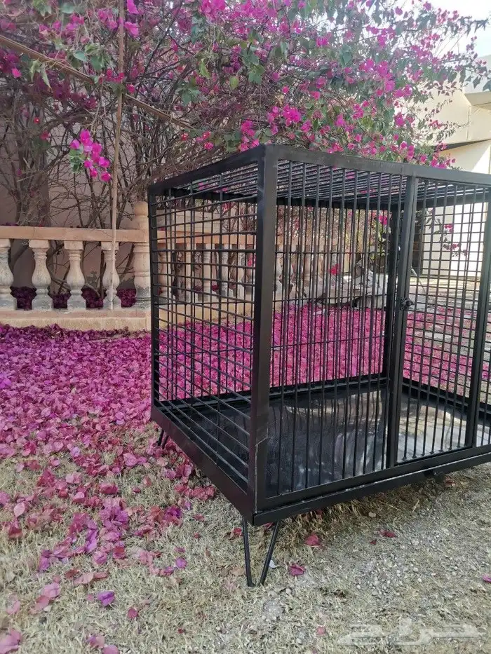 قفص للقطط 3