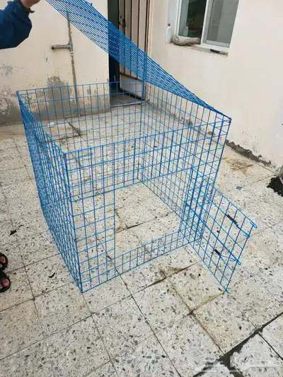 شبوك عرض وتشميس 6