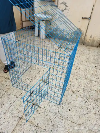 شبوك عرض وتشميس 7