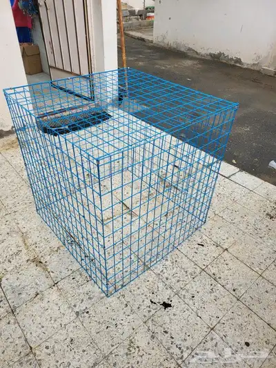 شبوك عرض وتشميس 4