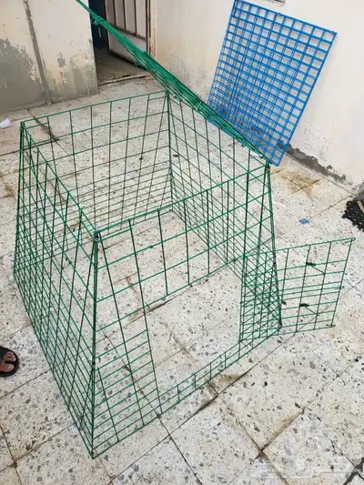 شبوك عرض وتشميس 1