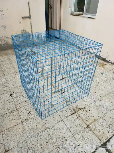 شبوك عرض وتشميس 5
