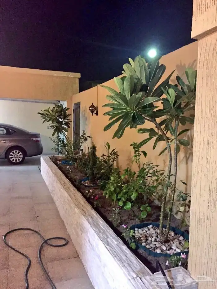 منسق حدائق جده ومكه زراعه النجيله الطبيعي شبكات الري 8