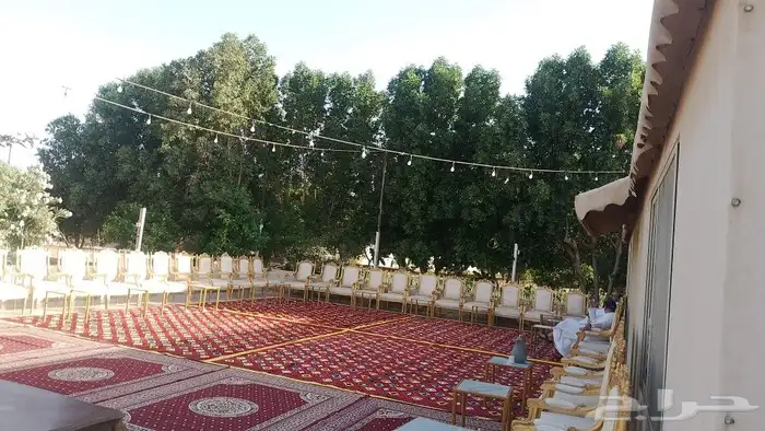 تاجير طاوله بلوت طاوله شطرنج طاوله كيرم جيكارو وجميع العاب 6